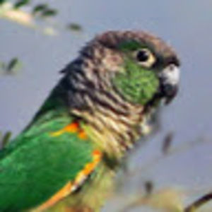 Meet your Posher, Lucia